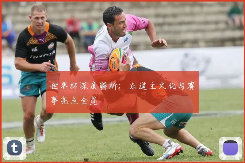 世界杯深度解析：东道主文化与赛事亮点全览