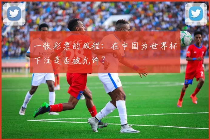 一张彩票的旅程：在中国为世界杯下注是否被允许？