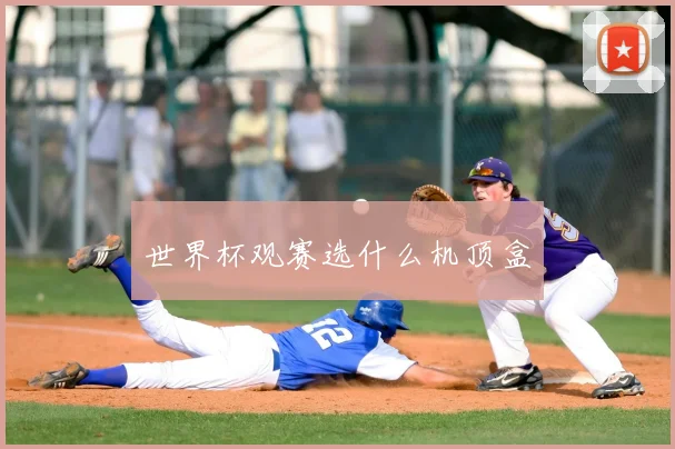 世界杯观赛选什么机顶盒