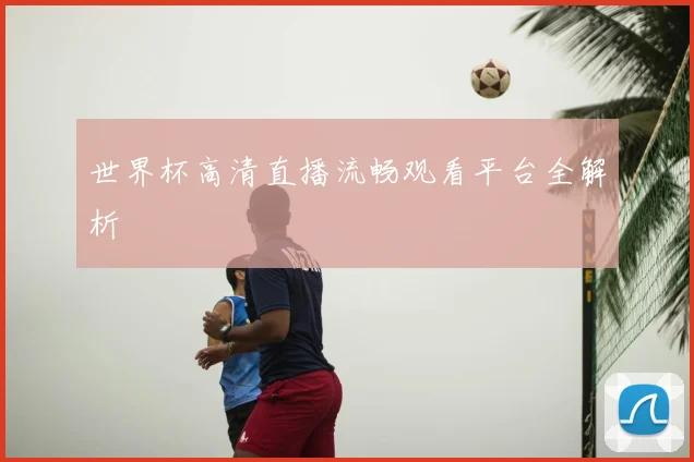 世界杯高清直播流畅观看平台全解析