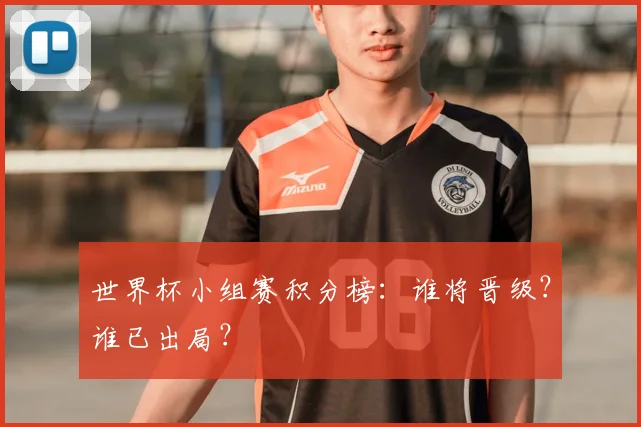 世界杯小组赛积分榜:谁将晋级?谁已出局?