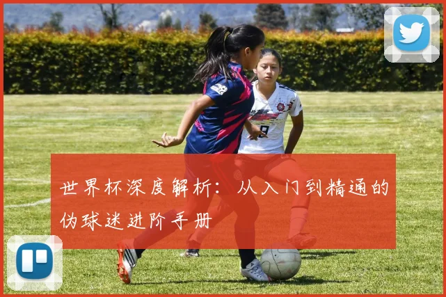 世界杯深度解析：从入门到精通的伪球迷进阶手册