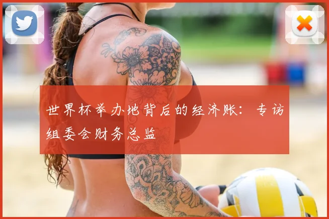 世界杯举办地背后的经济账:专访组委会财务总监