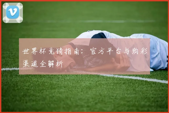 世界杯竞猜指南：官方平台与购彩渠道全解析