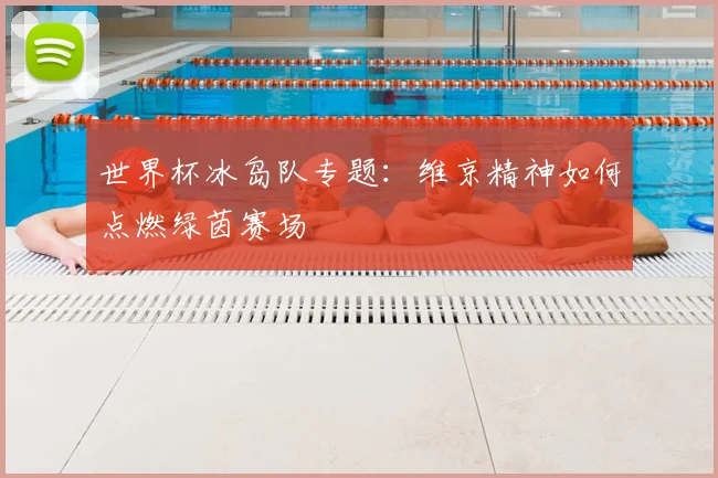 世界杯冰岛队专题：维京精神如何点燃绿茵赛场