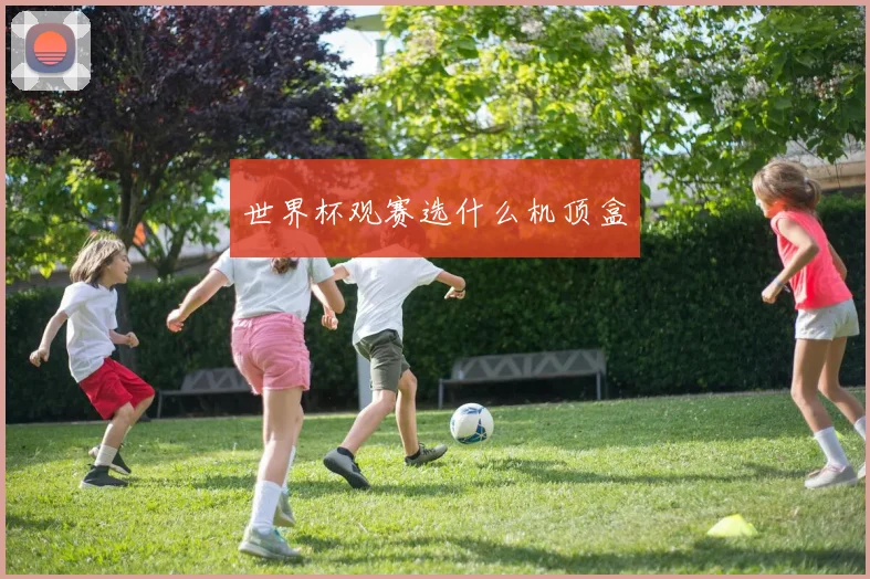 世界杯观赛选什么机顶盒